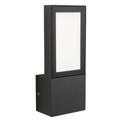 Firstlight LED Gamay Outdoor Wall Lantern Cool White 4000K Opal in Graphite