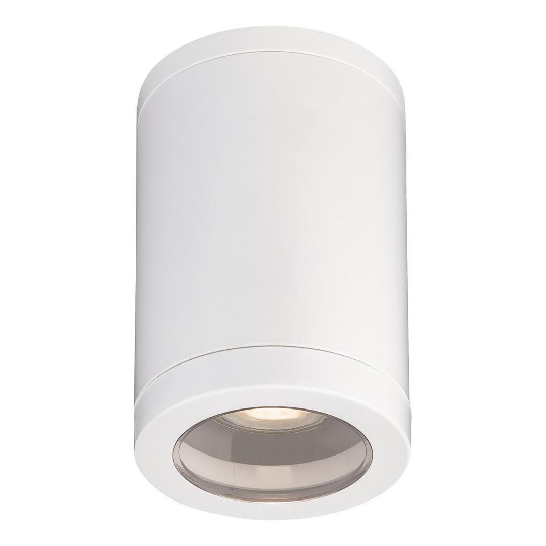 Firstlight Max Outdoor Ceiling Light Resin in White - Image 1