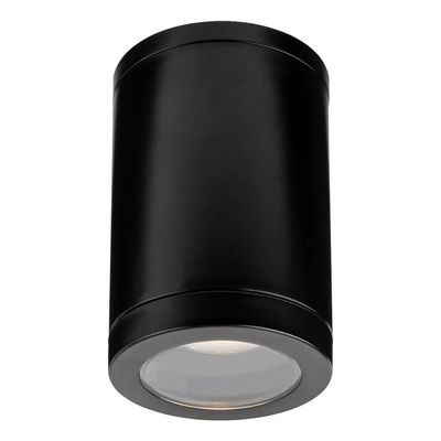 Firstlight Max Outdoor Ceiling Light Resin in Black
