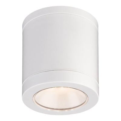 Firstlight LED Max Outdoor Ceiling Light Resin Warm White 3000K in White