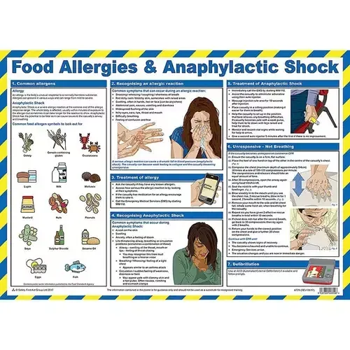 Food Allergies and Anaphylactic Shock First Aid Laminated Guidance Poster A2 - A729 - Image 1