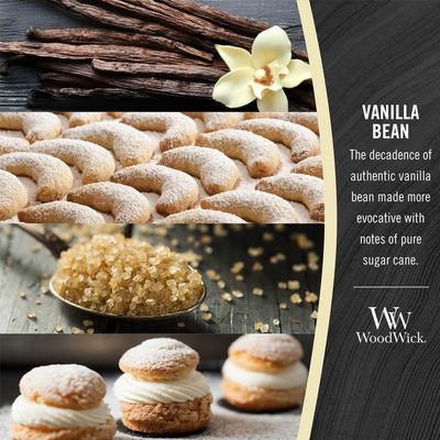 Woodwick Women's Vanilla Bean Medium Candle in Cream