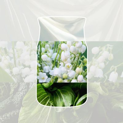 Yankee Candle Signature Large Jar Candle - Clean Cotton 567g in White | Size: 567 g - Thumbnail 2