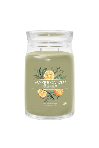 Yankee Candle Signature Large Jar Candle - Sage & Citrus 567g in Green | Size: 567 g