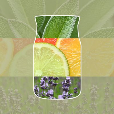Yankee Candle Signature Large Jar Candle - Sage & Citrus 567g in Green | Size: 567 g - Thumbnail 2