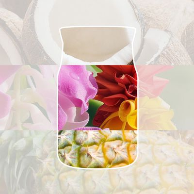 Yankee Candle Women's Signature Large Jar Coconut Beach in White