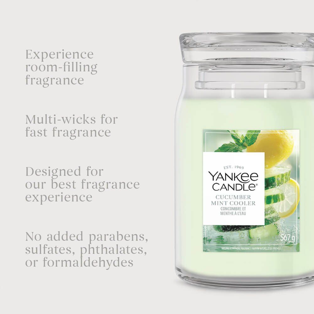 Yankee Candle Women's Signature Large Jar Cucumber Mint Cooler in Green - Image 1
