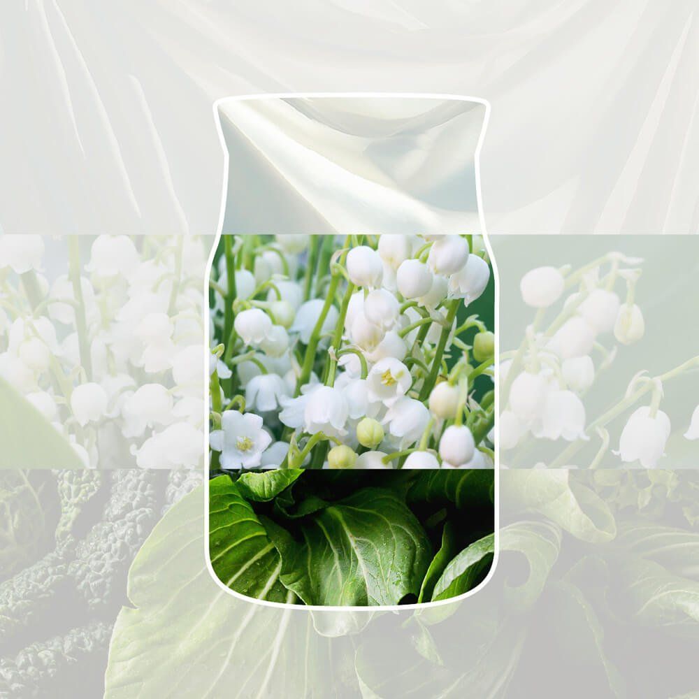 Clean Cotton - Image 1