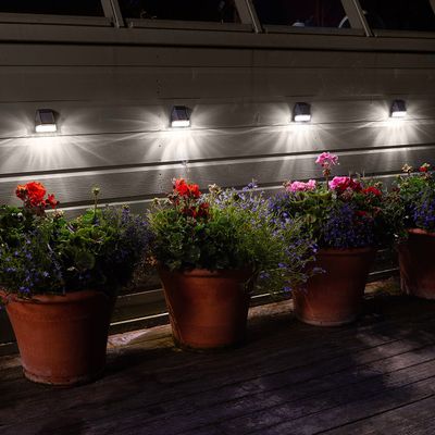 SuperBright LED Solar Wall and Fence Light (4 Pack) White Black
