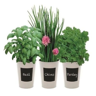 Trio Herb Set
