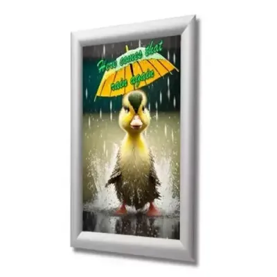 Deflecto A3 Wall Mounted Water-Resistant 25mm Aluminium Snap Frame Literature Display Sign Holder Silver - SFA3SWP - Thumbnail 2