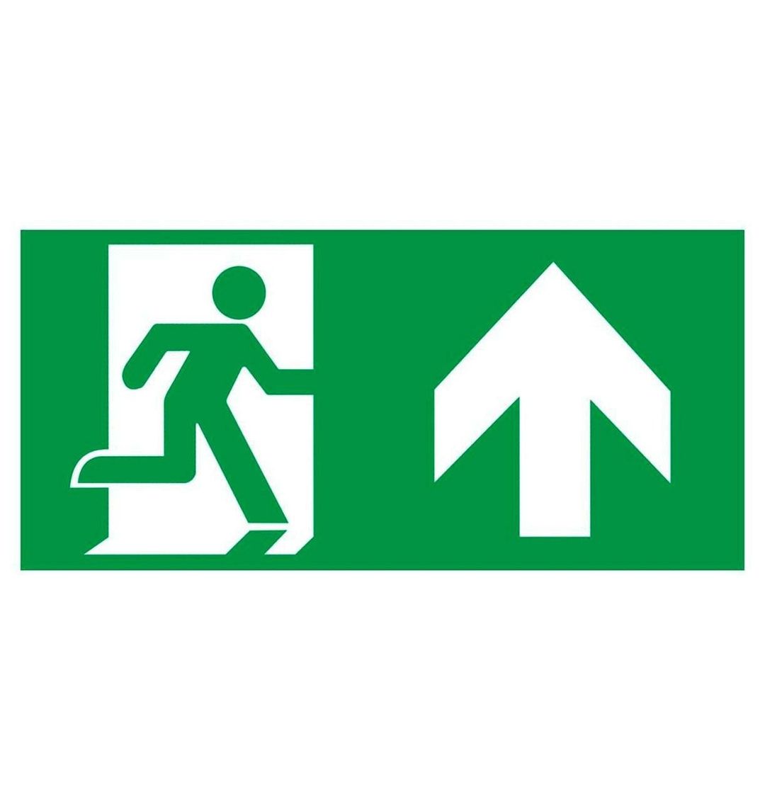 Phoebe LED Emergency Exit Blade Up Legend Krios for use with Krios Emergency Blade - Image 1