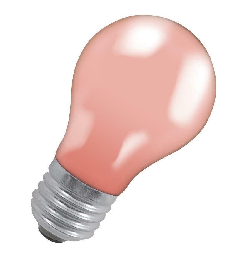 Crompton Candle LED Light Bulb B15 4.2W (40W Eqv) Warm White Opal Small Bayonet Frosted - Image 1