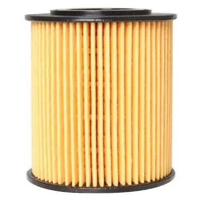 501110248 (Crosland) Oil Filter | Wt-J06079M | Euro Car Parts