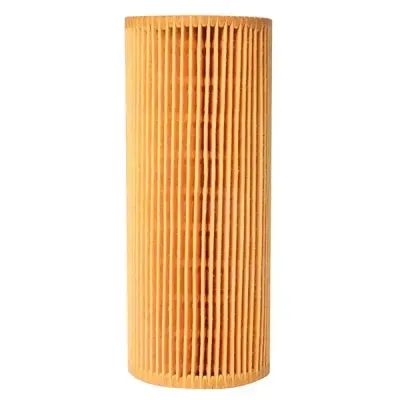 501440448 (Crosland) Oil Filter | Wt-J06155M | Euro Car Parts