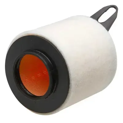 502110338 (Crosland) Air Filter | Ipa-R169Ch | Euro Car Parts