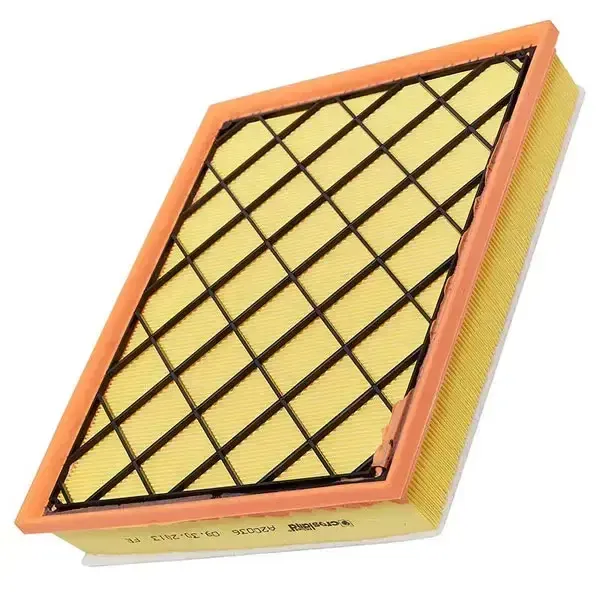 502110478 (Crosland) Air Filter | Ap029/1 | Euro Car Parts - Image 1