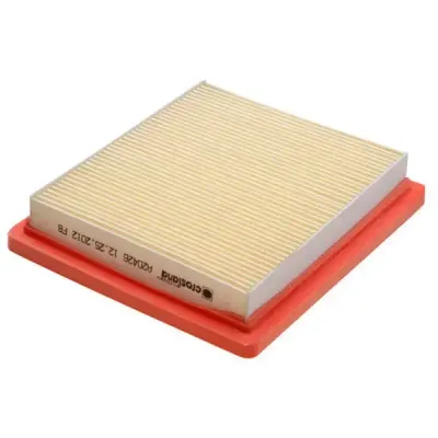 502591198 (Crosland) Air Filter | Ipa-P501Ch | Euro Car Parts