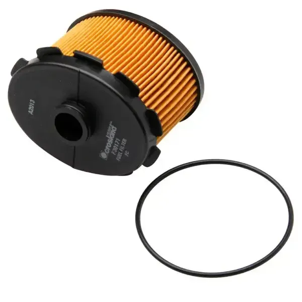 503545078 (Crosland) Fuel Filter | Gfi50446Jo | Euro Car Parts - Image 1