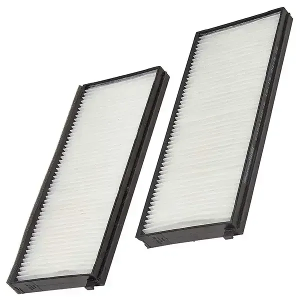 507900098 (Crosland) Cabin Filter | Ca-29010 | Euro Car Parts - Image 1