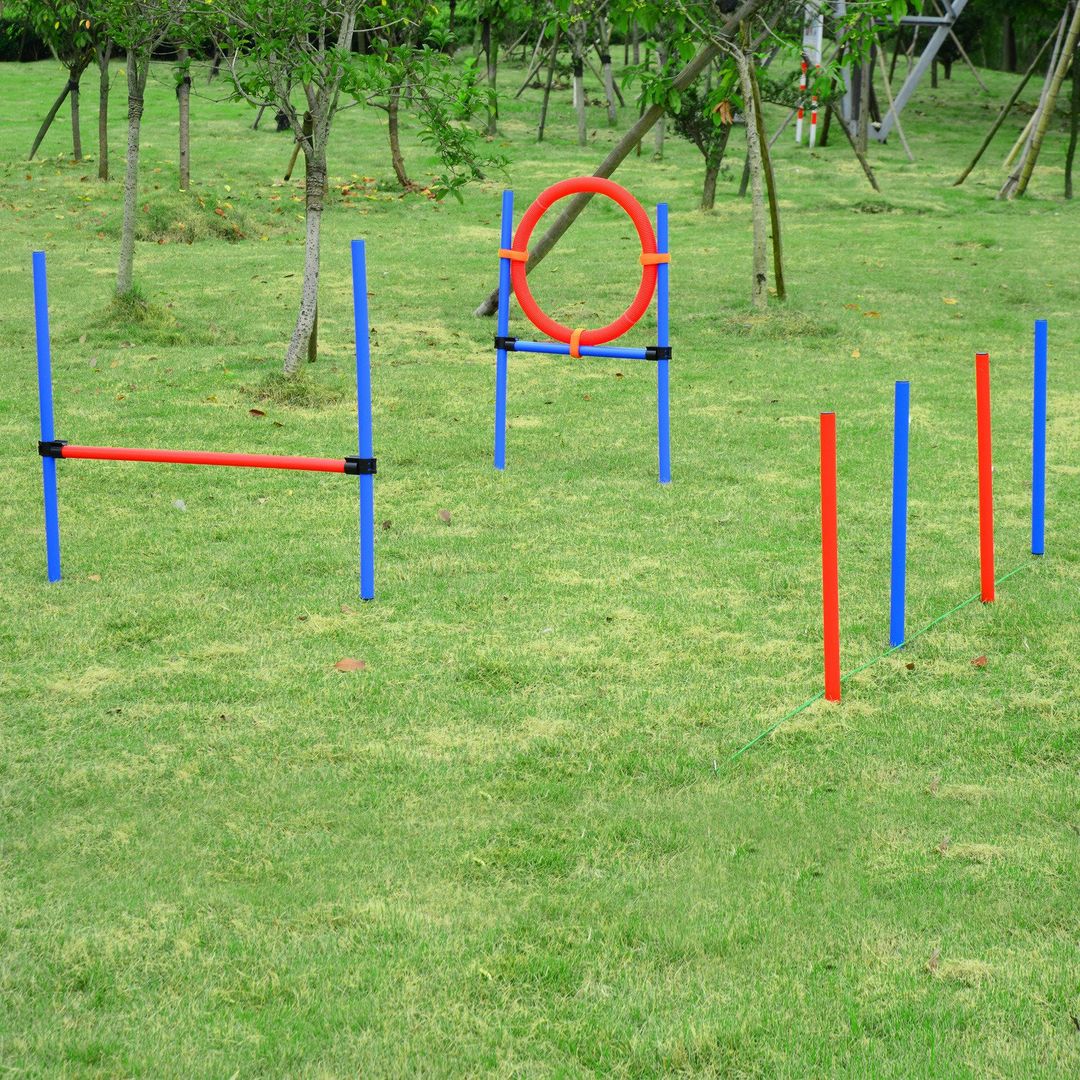 Pawhut Pet Agility Set Training Play Kit - Blue& Red - Image 1
