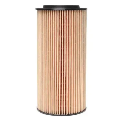 501220218 (Crosland) Oil Filter | Wt-J06135M | Euro Car Parts