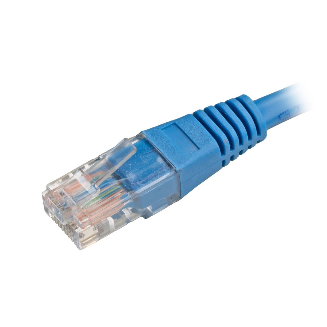 Cablenet CNL 100PK 2M C5e Bl UTP PVC 24AWG FMB networking cable - Image 1