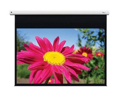 Optoma DE-1123EGA projection screen 3.12 m (123") 16:10 - Image 1