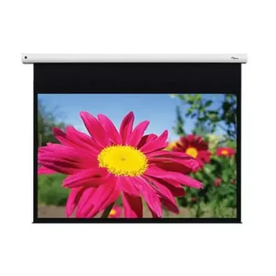 Optoma DE-1123EGA projection screen 3.12 m (123") 16:10 - Thumbnail 2