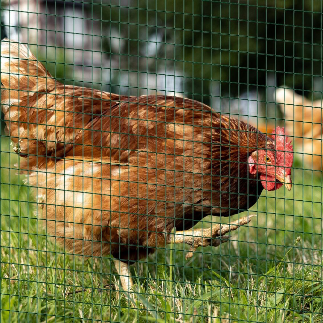 PawHut PVC Coated Steel Mesh Fencing - Green - Image 1