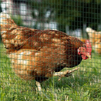 PawHut PVC Coated Steel Mesh Fencing - Green