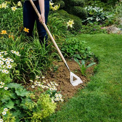 Kent & Stowe 70100052 Stainless Steel Long Handled Dutch Hoe Fsc®