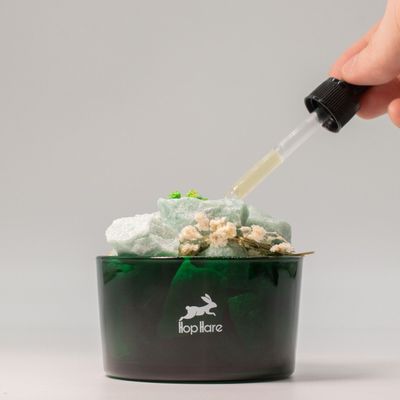 The Magician Diffusing Crystal and Floral Set Aventurine - Green