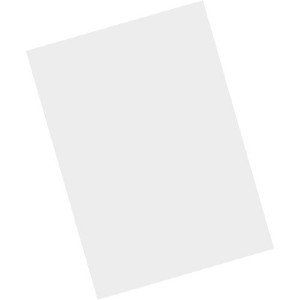 Zebra MISC-MC93-SCRN-01 handheld mobile computer accessory Screen protector