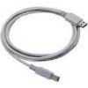 Datalogic Straight Cable - Type A USB USB cable