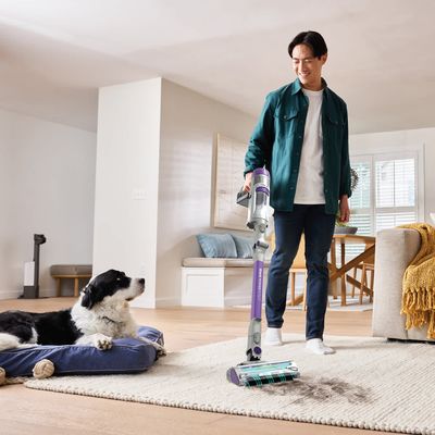 SHARK PowerDetect IP1251UKT Cordless Pet Vacuum Cleaner - Java Grey, Silver/Grey