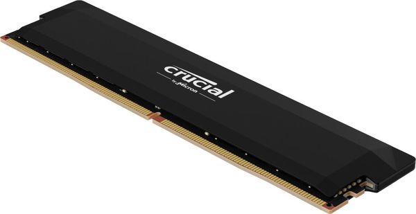 Crucial Pro CP16G60C36U5B memory module 16 GB DDR5 ECC