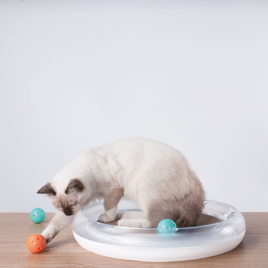 PetKit 4in1 Cat Scratcher - Clear - Image 1