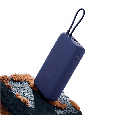 Xiaomi P2030Mi Lihium-Ion (Li-Ion)