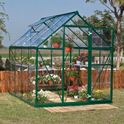 6 x 8 Palram Canopia Harmony Walk In Green Polycarbonate Greenhouse (1.85m x 2.47m)