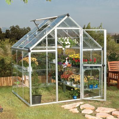 6 x 6 Palram Canopia Harmony Silver Polycarbonate Greenhouse (1.85m x 1.86m)