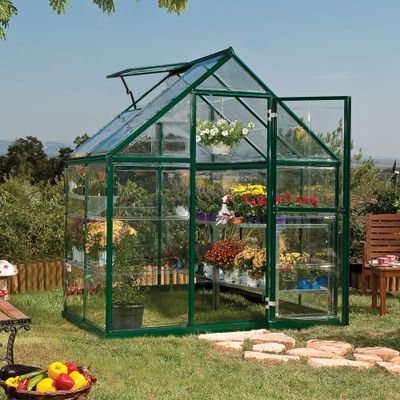 6 x 4 Palram Canopia Harmony Green Polycarbonate Greenhouse (1.85m x 1.26m)