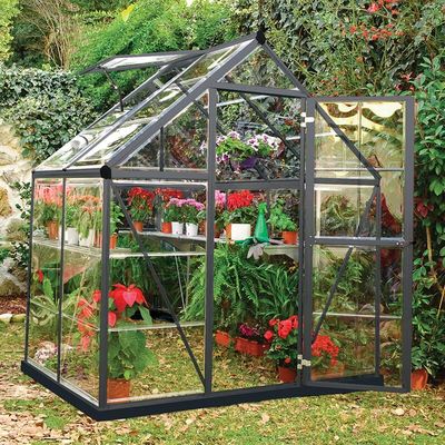 6' x 4' Palram Canopia Harmony Grey Polycarbonate Greenhouse (1.85m x 1.26m)