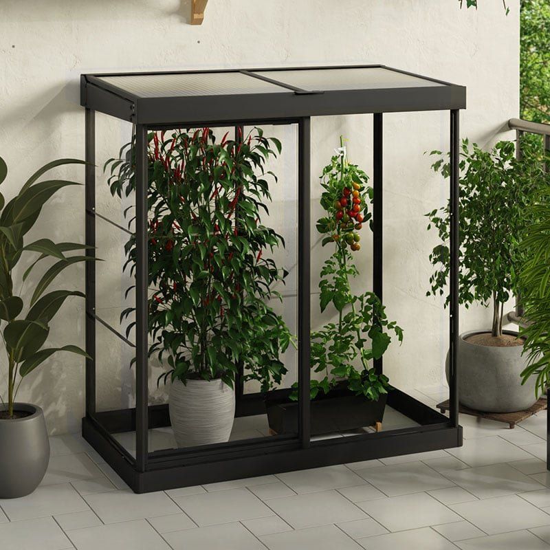4' x 2' Palram Canopia Ivy Polycarbonate Mini Greenhouse - Black (1.24m x 0.64m) - Image 1