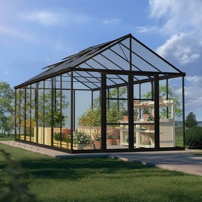 10' x 20' Palram Canopia Aria Black Polycarbonate Greenhouse (3.04m x 6.08m)