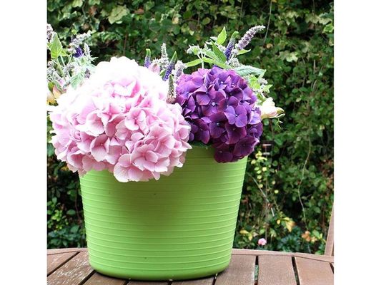 Gorilla Tub® Small 14L | Colour: Pistachio