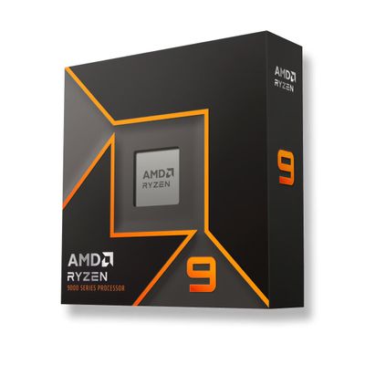 AMD Ryzen™ 9 9900X Processor