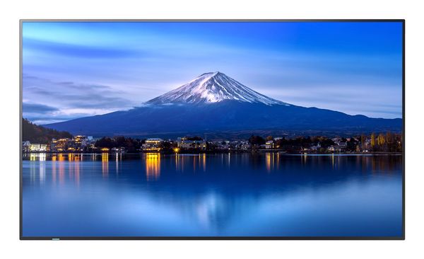 Sharp MultiSync P556 Kiosk design 139.7 cm (55") LCD 700 cd/m² 4K