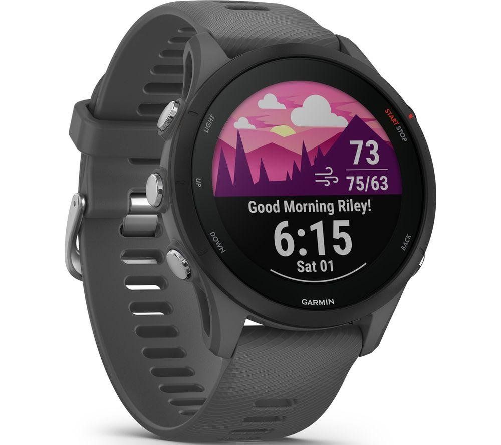 GARMIN Forerunner 255 Sports Watch - Slate Grey, 46 mm, Silver/Grey - Image 1