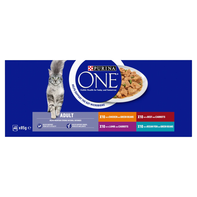 Pack of 40 Purina One Mini Fillets in Gravy